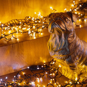 Serie de luces de banda LED con lente cóncava transparente 240V atenuable durante más de 30000 horas