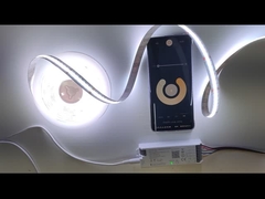 Serie de luces de banda LED certificadas RoHS en 6,5 pies de longitud con color blanco cálido