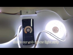 Luz de tira de la MAZORCA