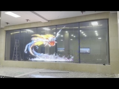 pantalla flexible y transparente - Casos de proyectos