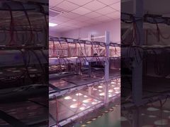 Funcionamiento de la pantalla transparente